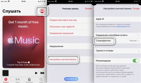 how to reset apple music and the role of music in modern society